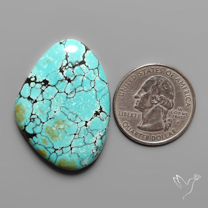 Hubei Turquoise Cabochon