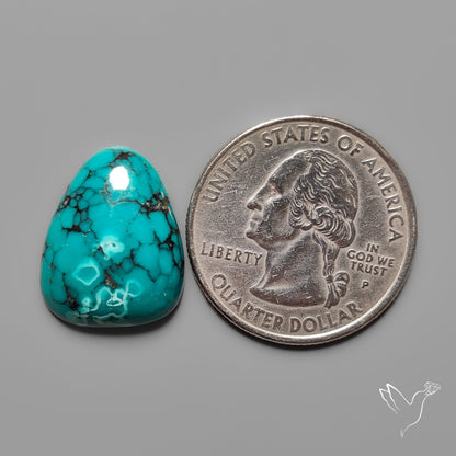 Hubei Turquoise Cabochon