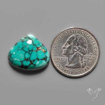 Hubei Turquoise Cabochon