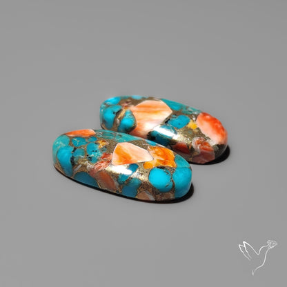 Spiny Oyster Mohave Turquoise Pair