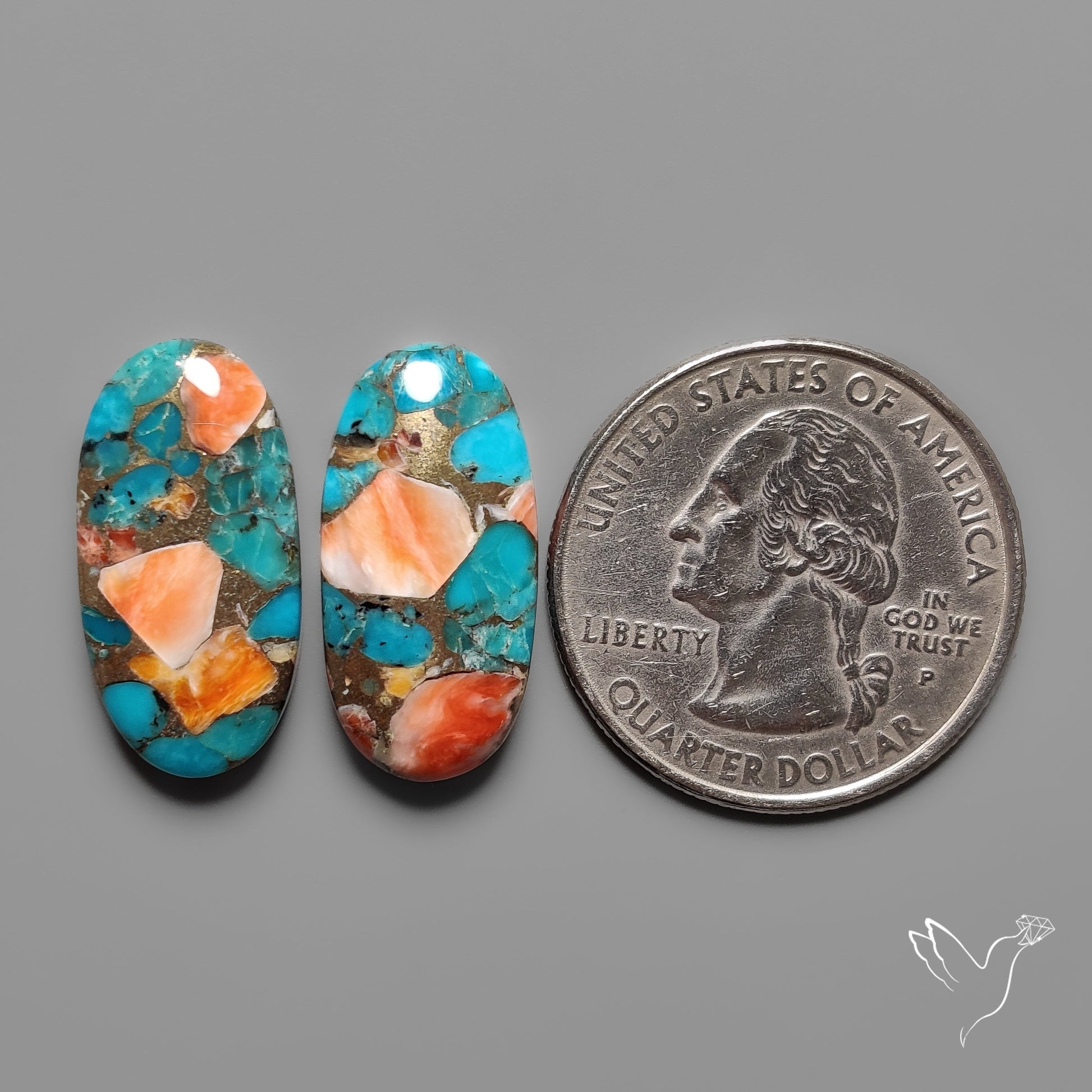 Spiny Oyster Mohave Turquoise Pair