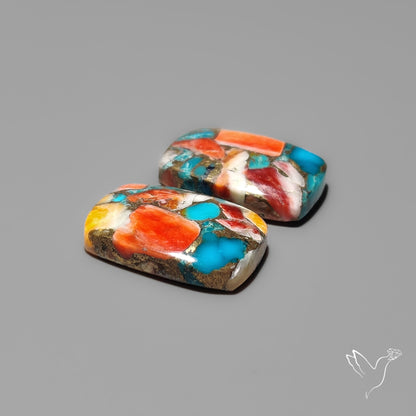 Spiny Oyster Mohave Turquoise Pair