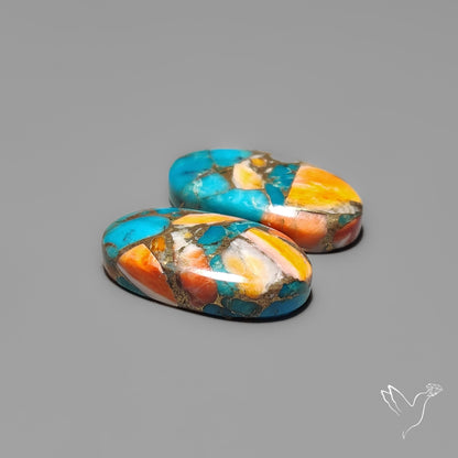 Spiny Oyster Mohave Turquoise Pair