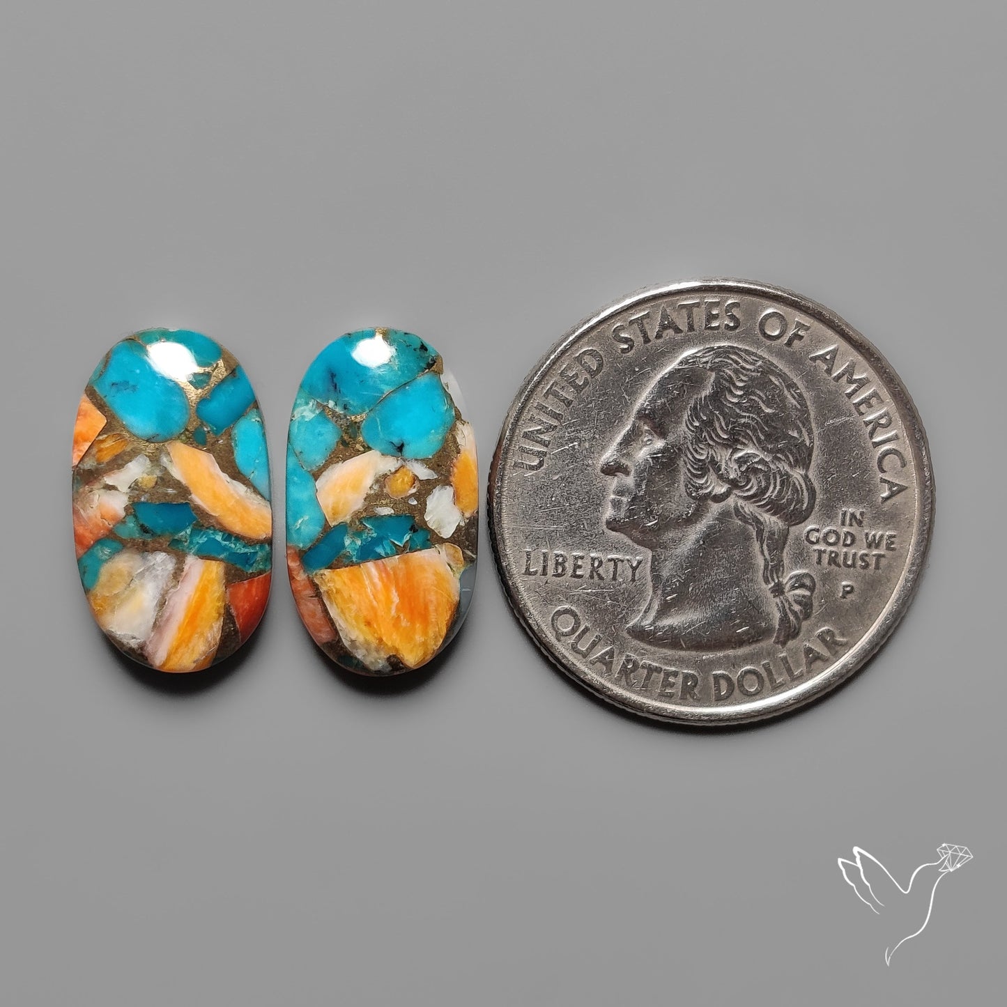 Spiny Oyster Mohave Turquoise Pair