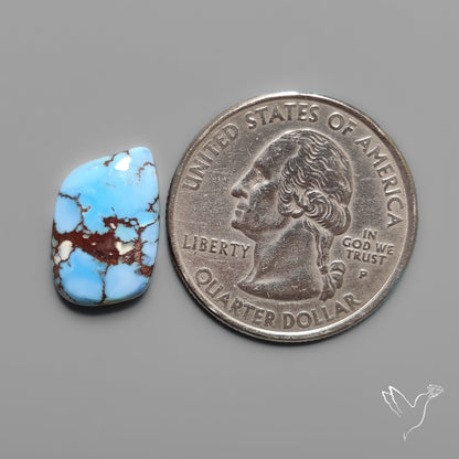 Golden Hill Turquoise Cabochon Rare