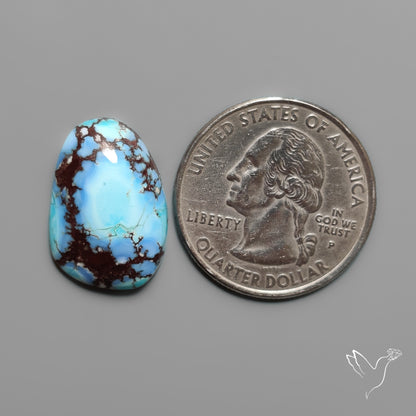 Golden Hill Turquoise Cabochon Rare