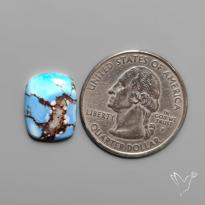 Golden Hill Turquoise Cabochon Rare