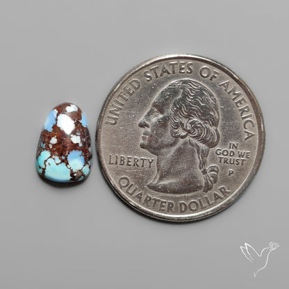 Golden Hill Turquoise Cabochon Rare