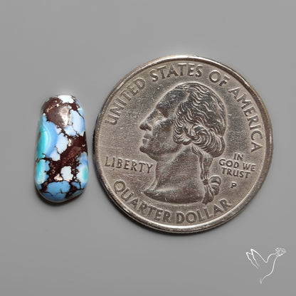 Golden Hill Turquoise Cabochon Rare