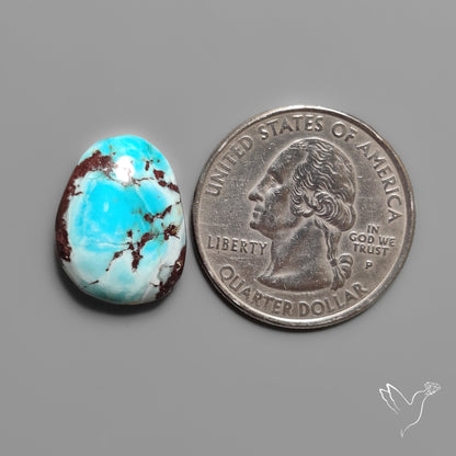 Golden Hill Turquoise Cabochon Rare