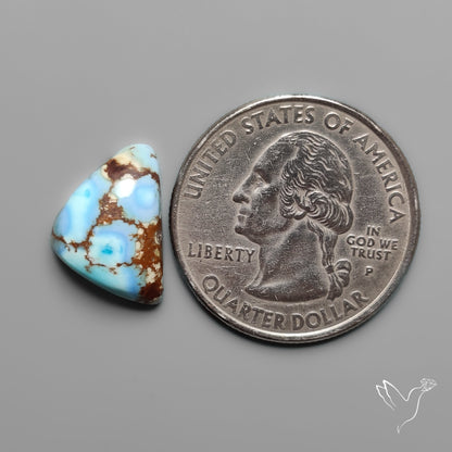 Golden Hill Turquoise Cabochon Rare