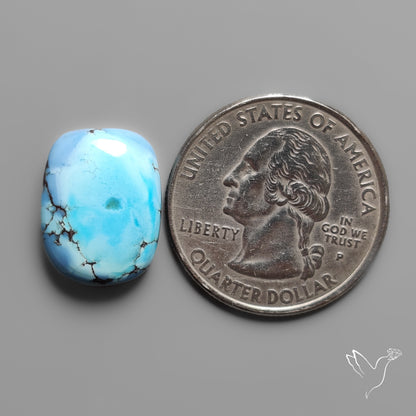 Golden Hill Turquoise Cabochon Rare