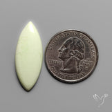Lemon Chrysoprase Cabochon
