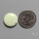 Lemon Chrysoprase Cabochon