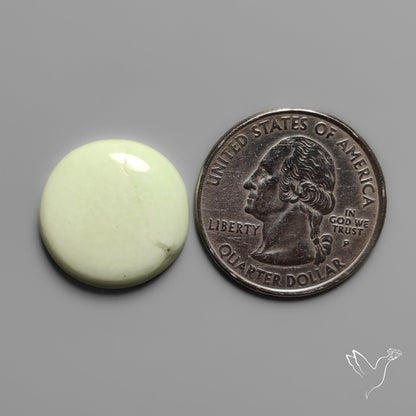 Lemon Chrysoprase Cabochon