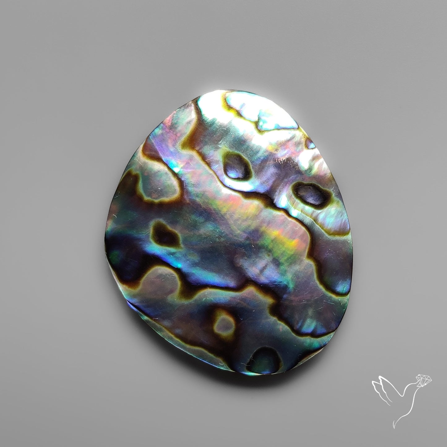 Abalone Shell Cabochon Backed