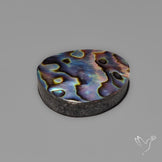 Abalone Shell Cabochon Backed