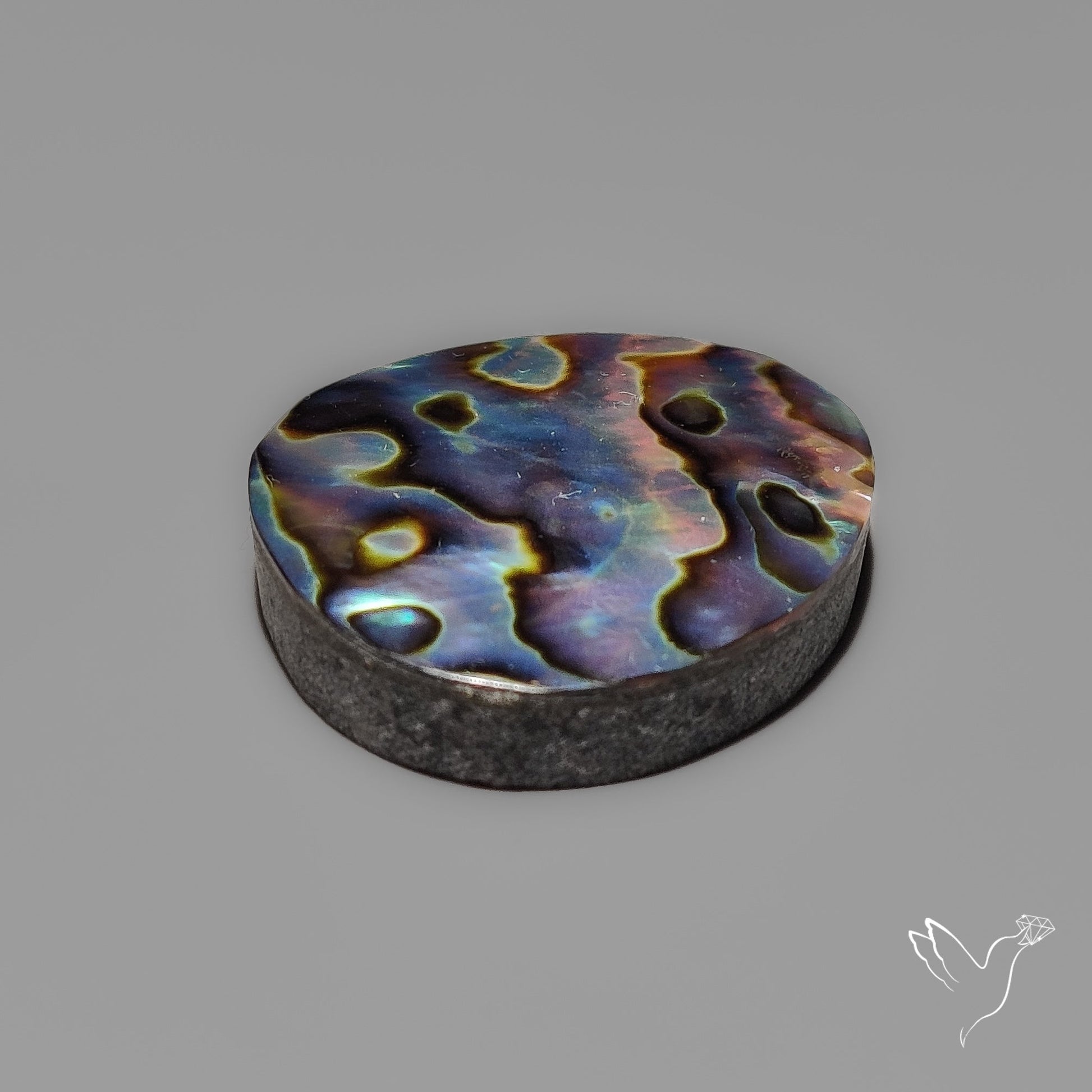 Abalone Shell Cabochon Backed