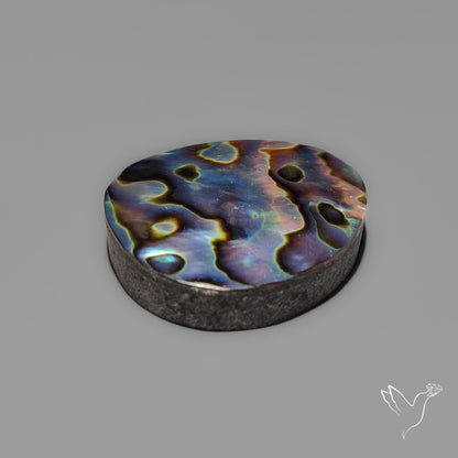 Abalone Shell Cabochon Backed