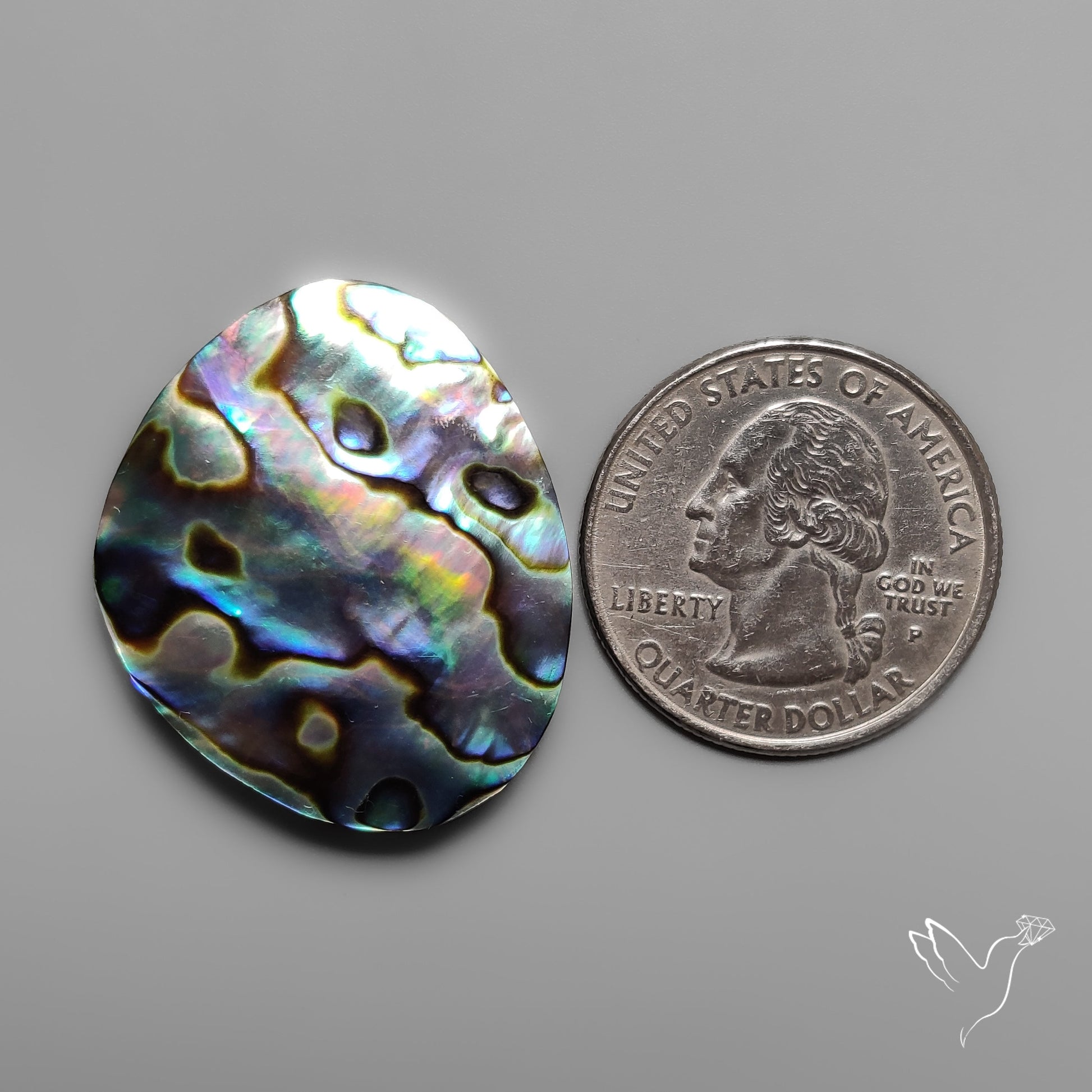 Abalone Shell Cabochon Backed