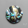 Abalone Shell Cabochon Backed
