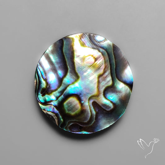 Abalone Shell Cabochon Backed