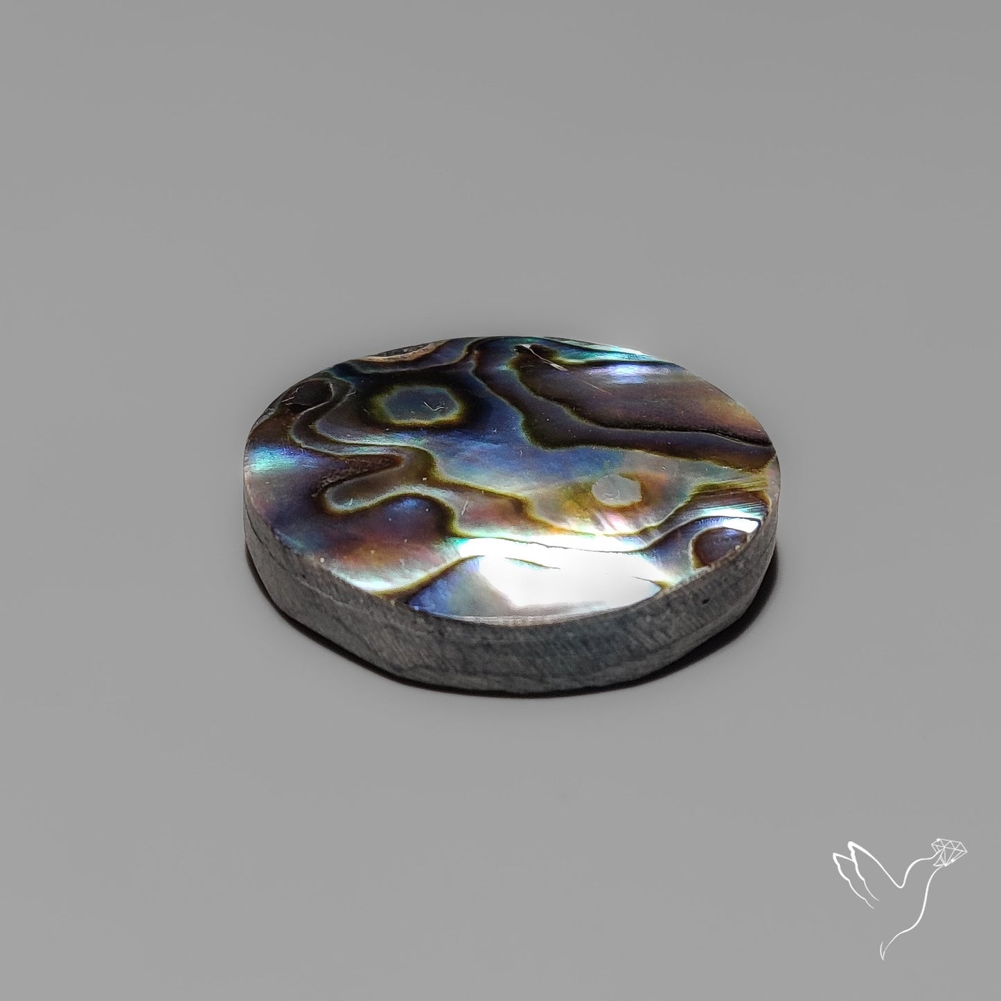 Abalone Shell Cabochon Backed