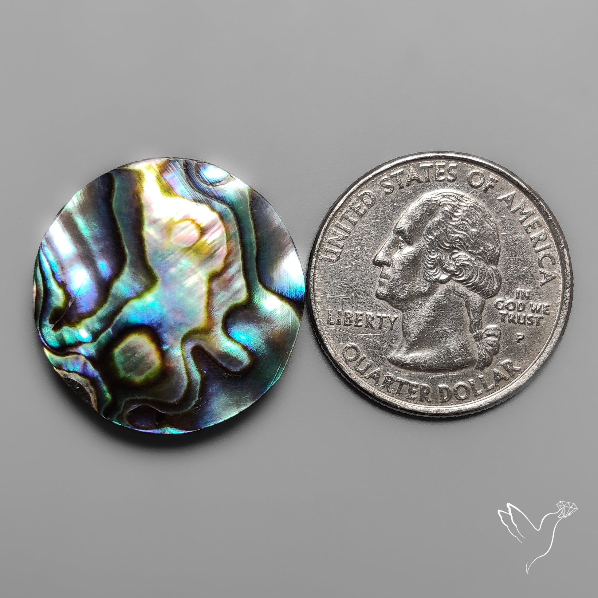 Abalone Shell Cabochon Backed