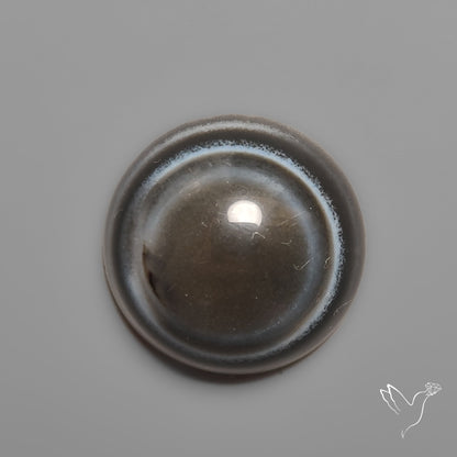 Tuxedo Black Banded Agate Eye Cabochon