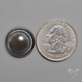 Tuxedo Black Banded Agate Eye Cabochon