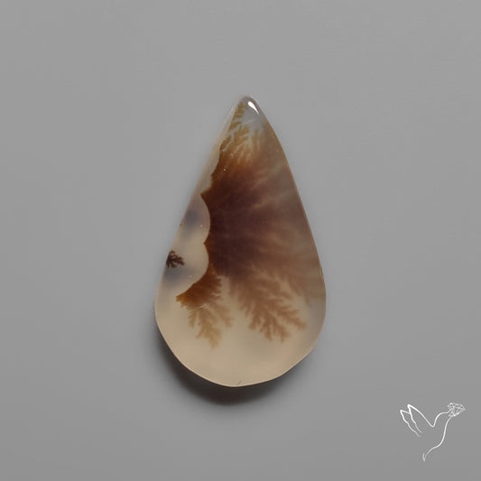 Scenic Agate Cabochon