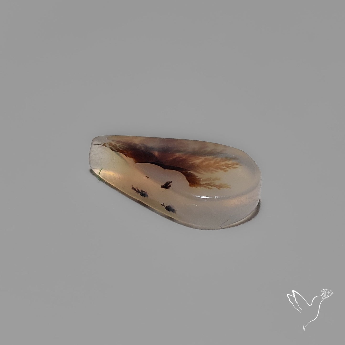 Scenic Agate Cabochon
