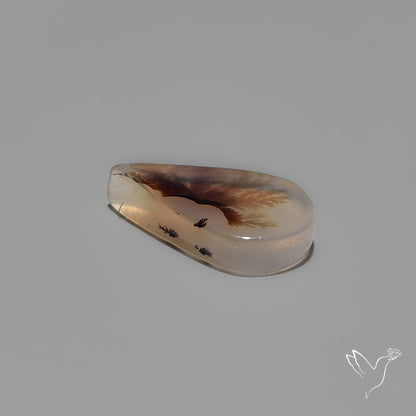Scenic Agate Cabochon