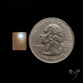 Mother Of Pearl Cabochon