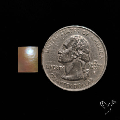 Mother Of Pearl Cabochon