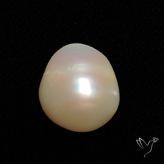 Mother Of Pearl Cabochon