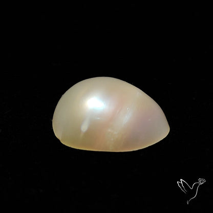 Mother Of Pearl Cabochon