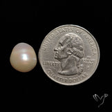 Mother Of Pearl Cabochon
