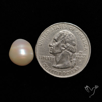 Mother Of Pearl Cabochon