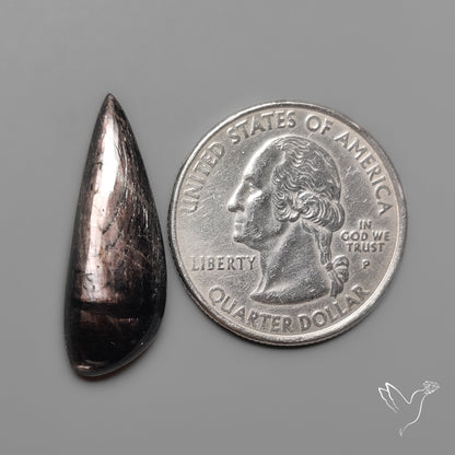 Hypersthene Cabochon