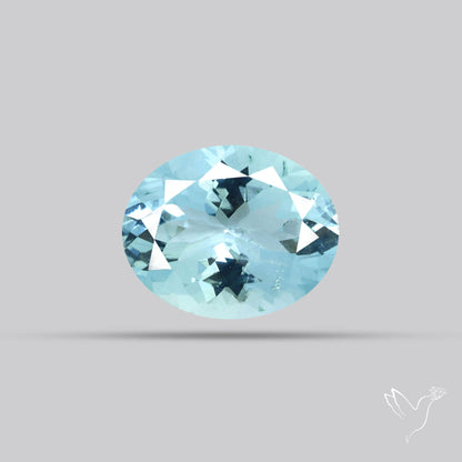 High Grade Aquamarine Faceted Fine Gemstone