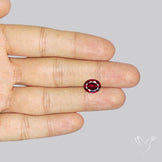 Rhodolite Garnet Faceted Fine Gemstone