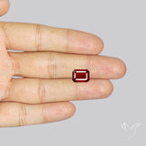 Faceted Hessonite Garnet