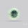 Green Prasiolite Concave Cut High Grade Fine Gemstone