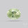 Green Prasiolite Concave Cut High Grade Fine Gemstone