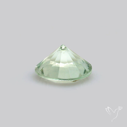 Green Prasiolite Concave Cut High Grade Fine Gemstone