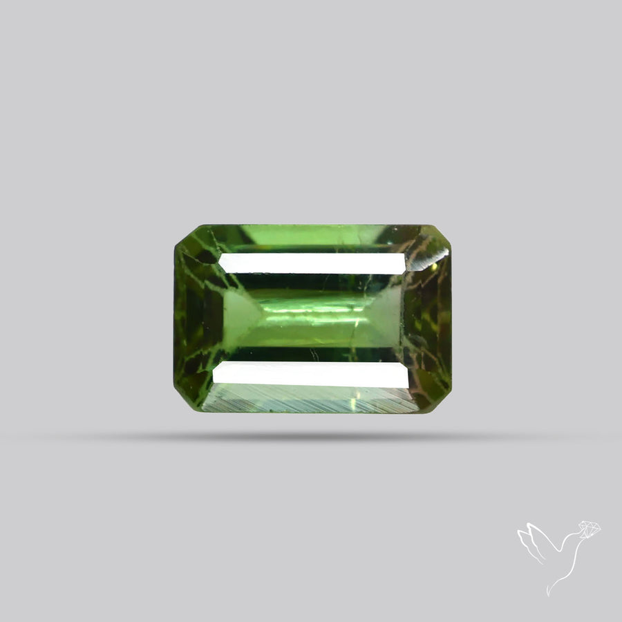 Faceted Bi-Colour Tourmaline