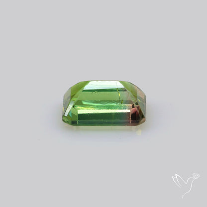 Faceted Bi-Colour Tourmaline
