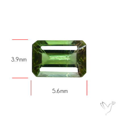 Faceted Bi-Colour Tourmaline