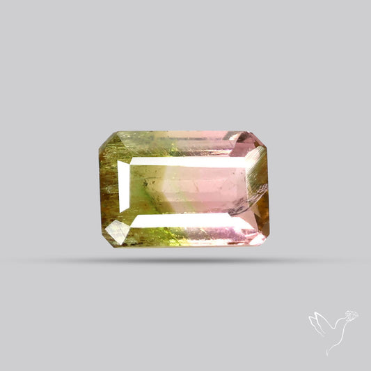 Faceted Bi-Colour Tourmaline